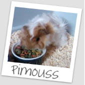 Avatar de l’utilisateur