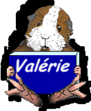 Avatar de l’utilisateur