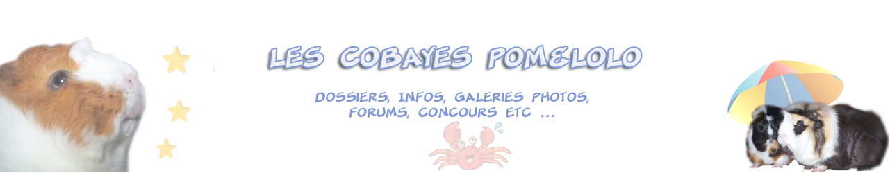 Les Cobayes Pom&Lolo